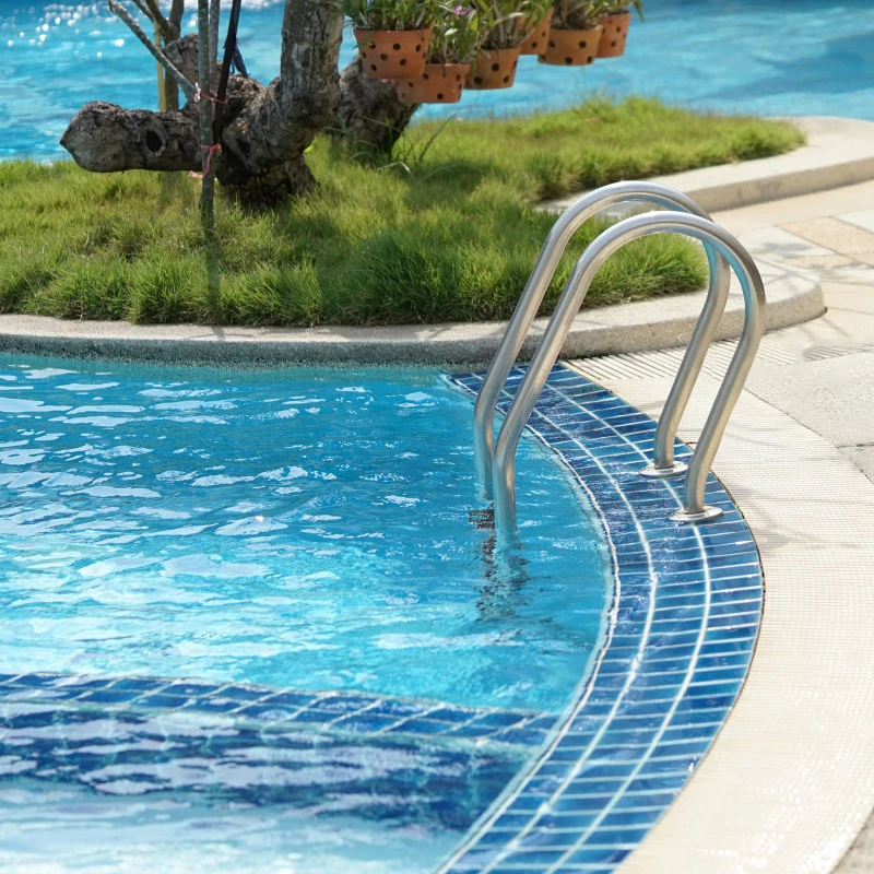 

Swimming Equipment Stainless Steel Ladder Step Pool Handrail