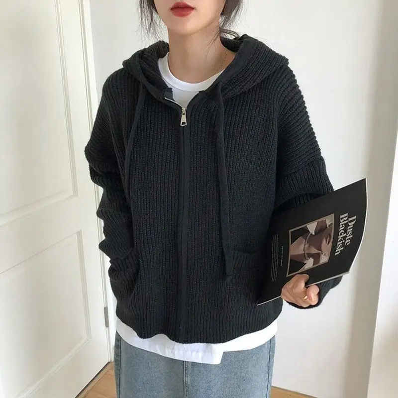 

Hooded Zipper Cardigans Women Autumn Winter Long Sleeve Knitted Sweater Coat Woman Harajuku Y2K Solid Loose Jumper Female Hoodie