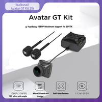 Walksnail Avatar GT kit 2W VTX Gyroscope 1080P 100fps Dual Antenna Night Vision Long Range Fixed Wing Sensor Image transmission