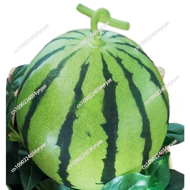 Real fruit and vegetable model decorative ornament fake watermelon display sample storefront display