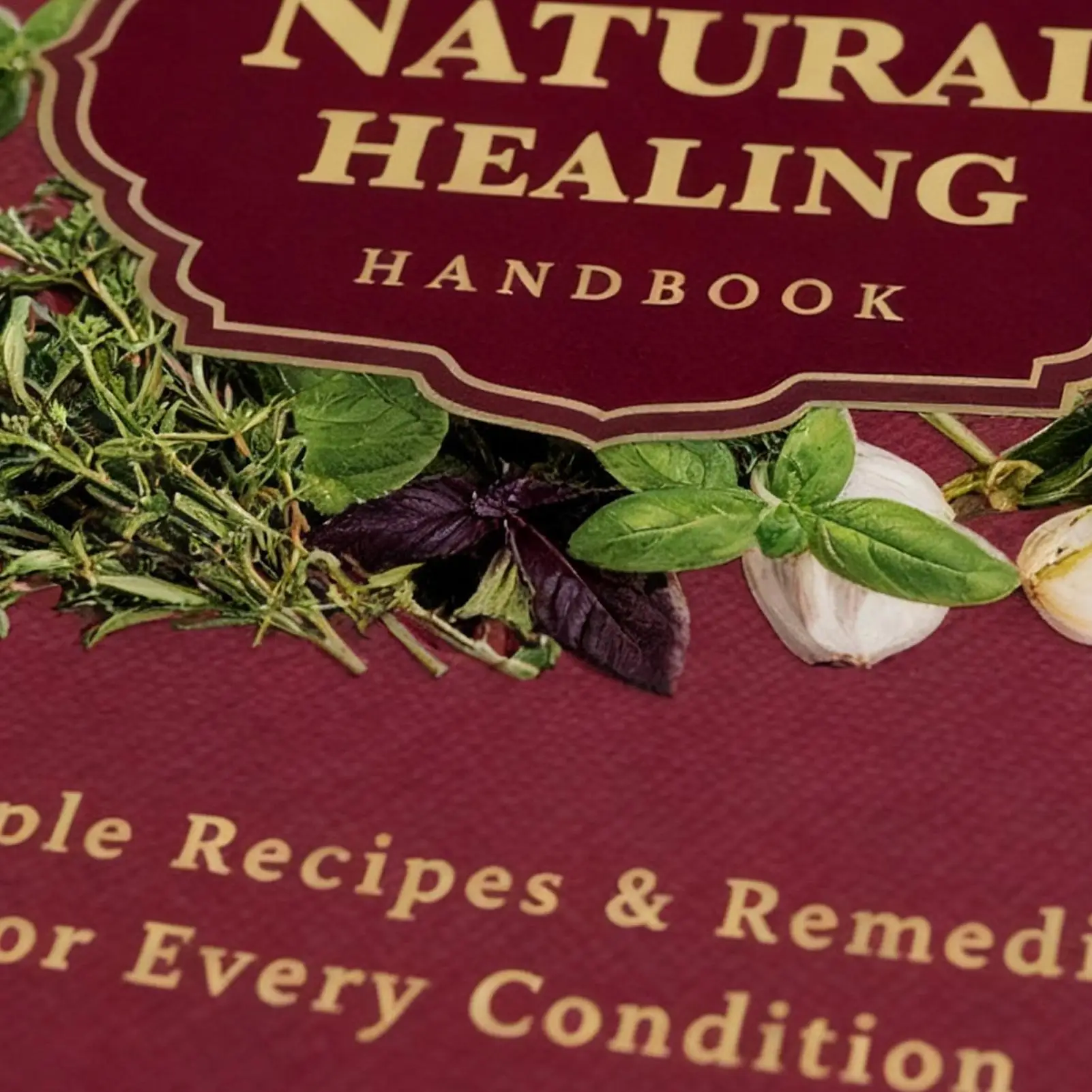 250x176x10 مللي متر دليل الصحة البشرية كتاب موضوع النبات الأكل وصفة دوامة ملزمة الكتاب الطبيعي للأسرة الكبار المسنين دراسة الشيف #6