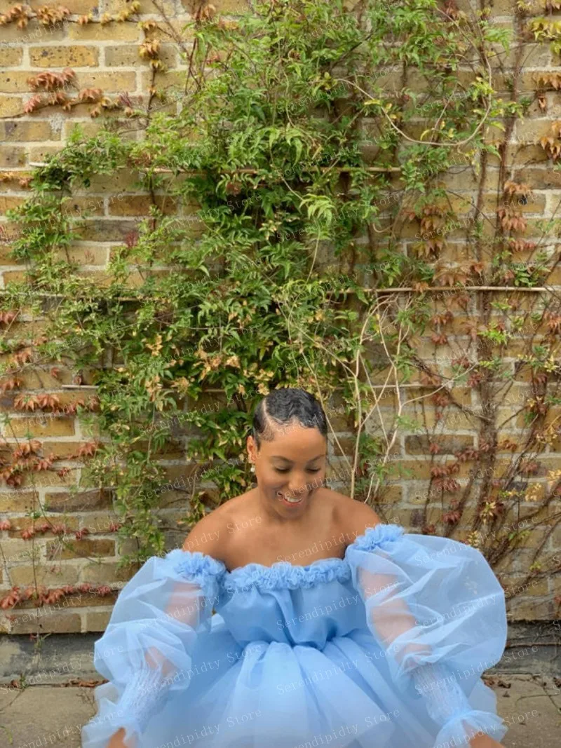 Off Shoulder A-line Party Dress Layered Long Sleeve See Through Light Blue Organza Dresses Elegant Mini Length Homecoming Dress