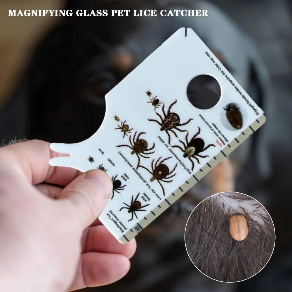 Portable Effective Tick Remover Card Magnifying Glass Pocket Size Lice Catcher Tool Durable Plastic Dog Cat Clean Tool Pets view 4