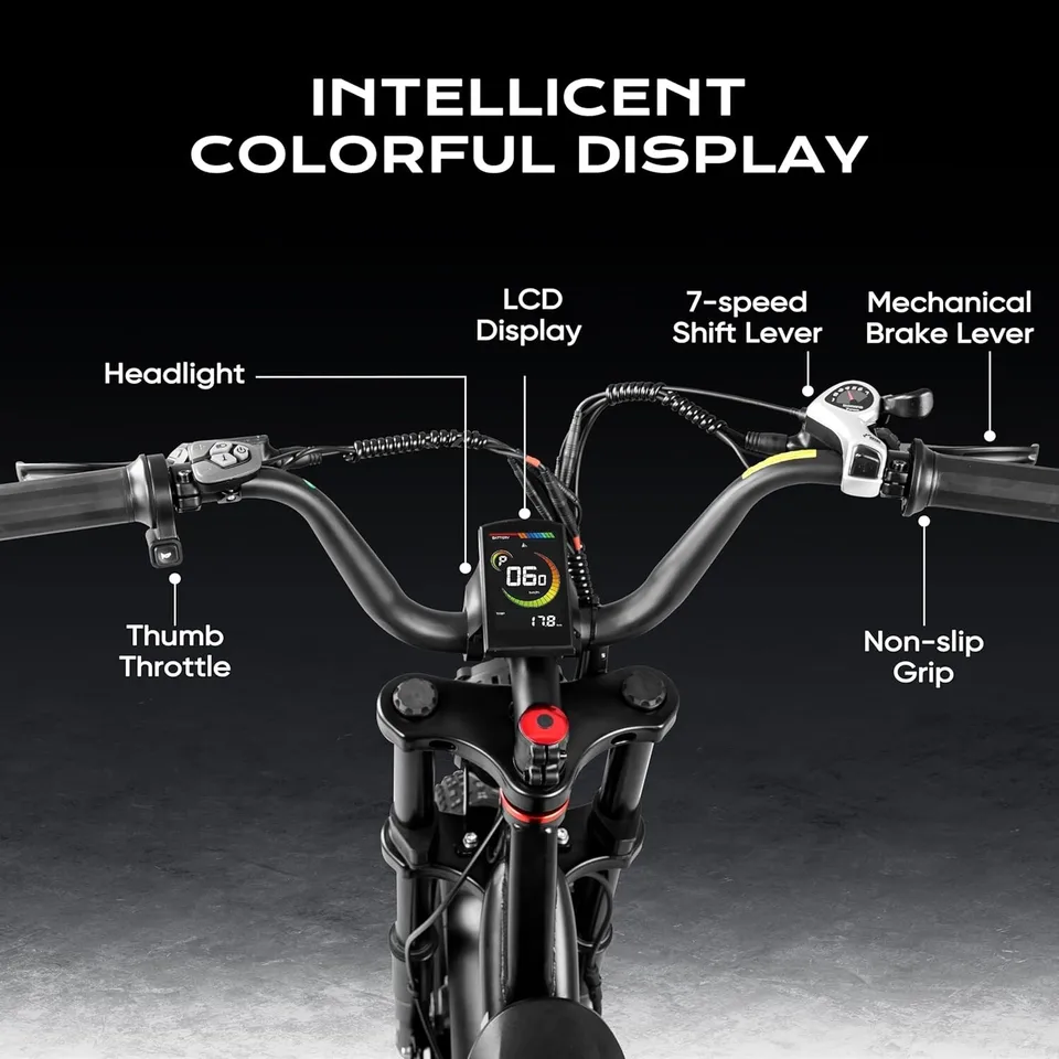 LunaⅡ Ebike for Adults，Dual Motor Peak 1500W 48V 20Ah 20"*4.0 Fat Tire image 4