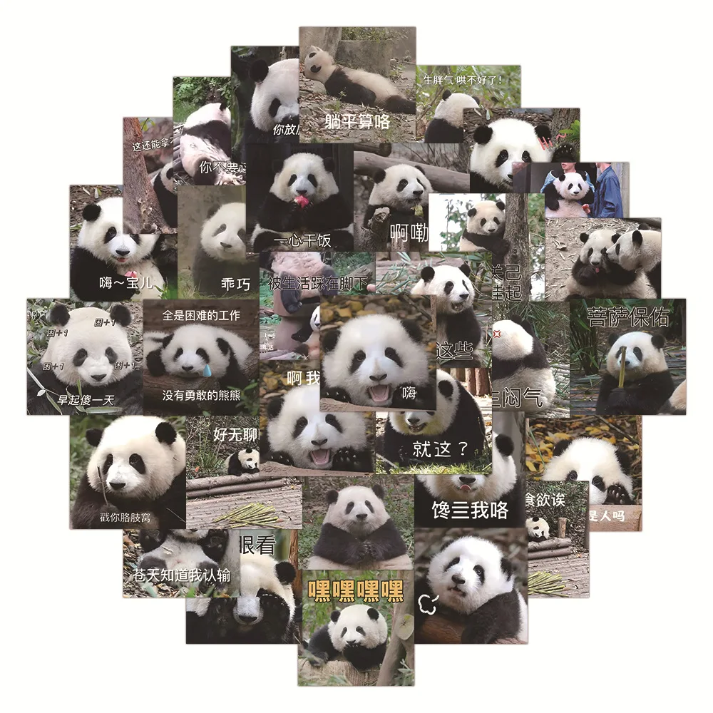 10/30/63PCS Panda Huahua Cartoon Cute Stickers Decal Decoration Suitcase Laptop Scrapbooking Phone Stationery Funny Kid Sticker