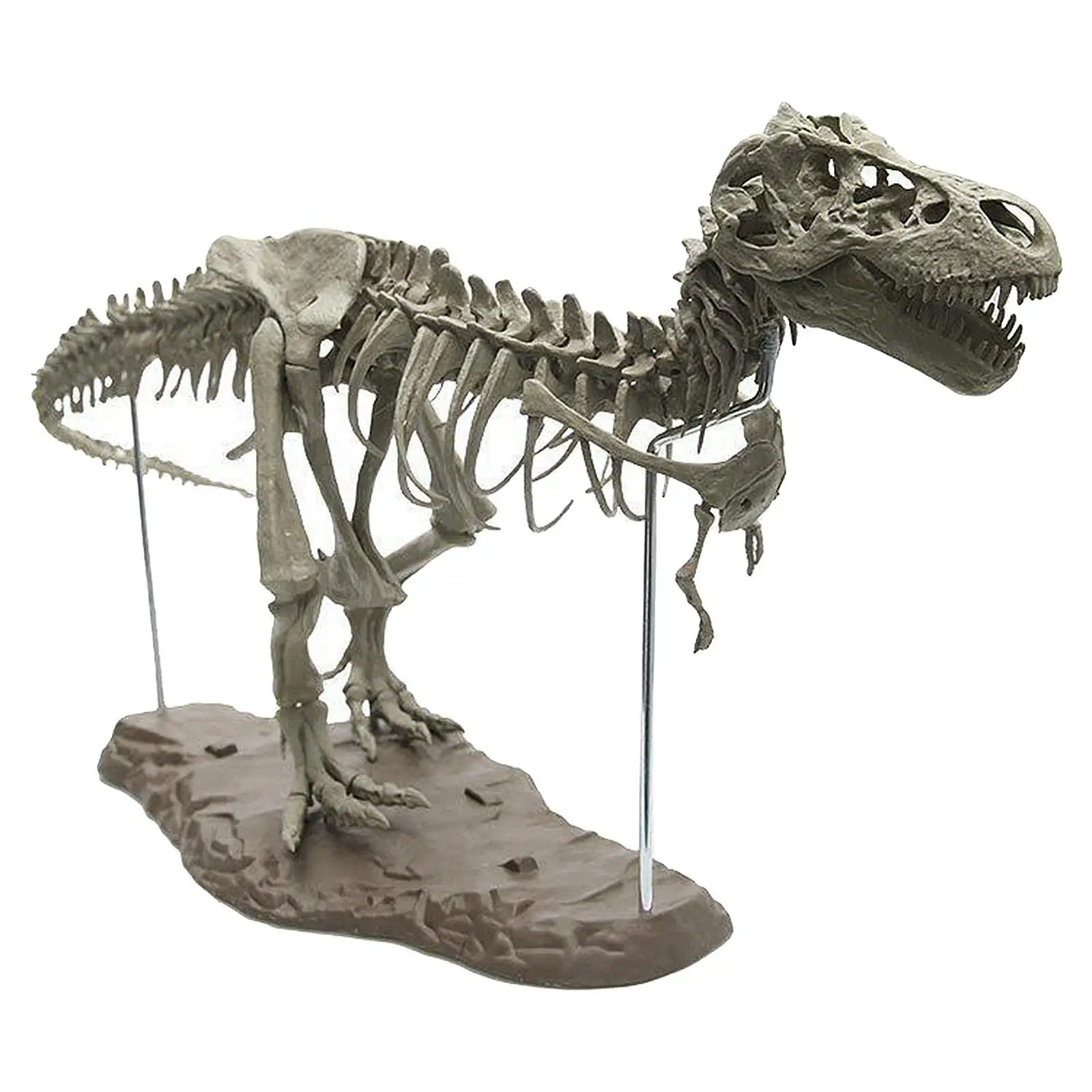 Figura de esqueleto de decoración de oficina DIY sin montar modelo de dinosaurio 4D