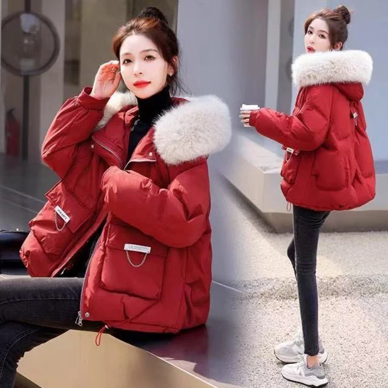 Little Down Cotton-Padded Jacket Female Parkas Winter 2024 New Thick Warm Cotton Padded Coat Women Short Puffer Jackets Ins Tide