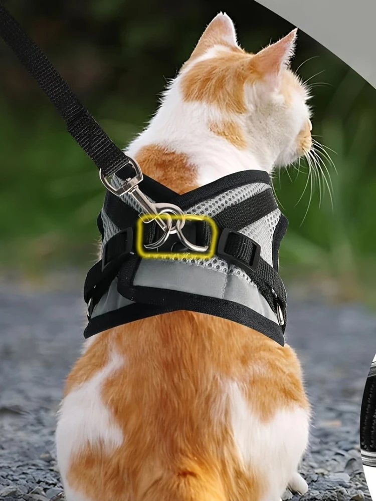 Collier pour animaux de compagnie, harnais, produits pour animaux de compagnie, accessoires pour chaton, harnais pour chaton, laisse, fournitures pour la maison du chat