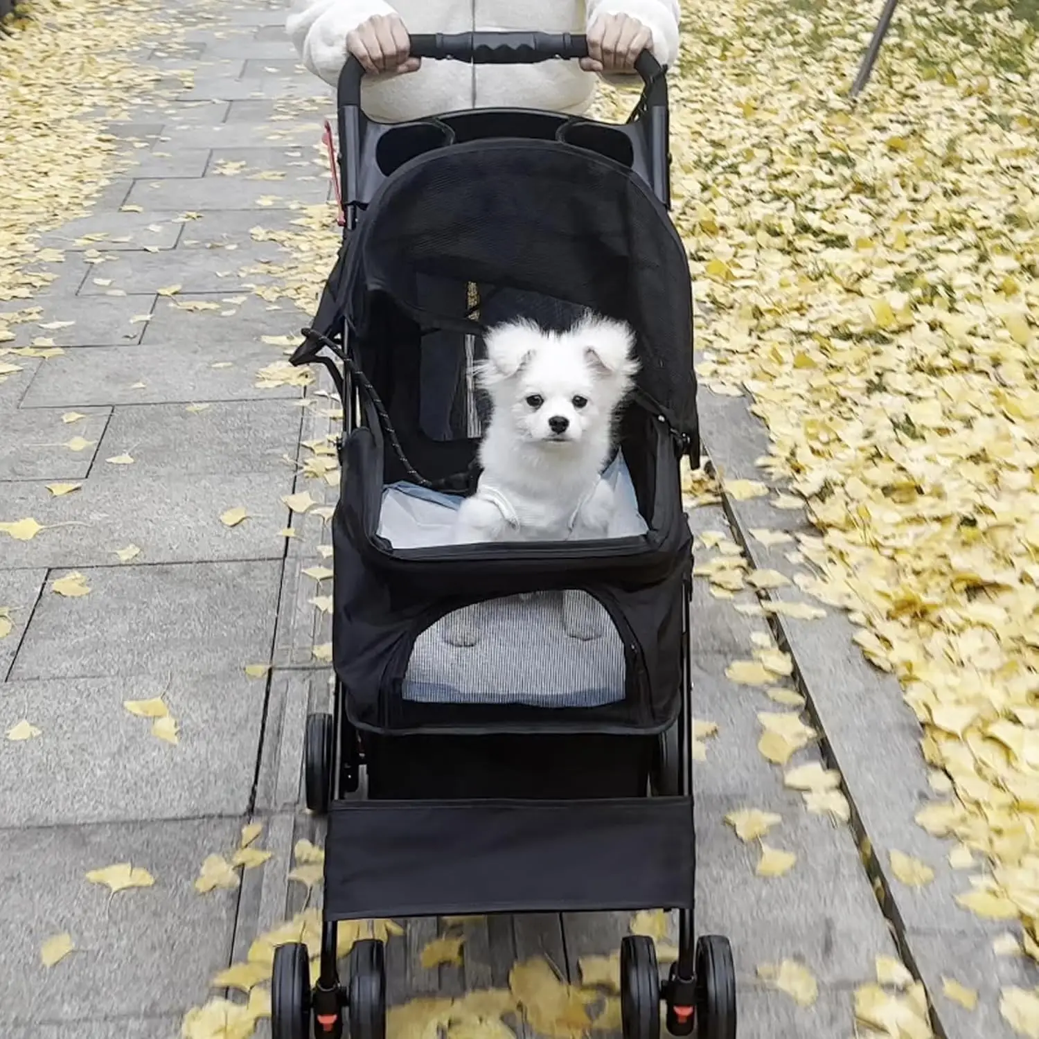 Poussette Pliable pour Chien et Chat, Jogger, Chariot de Promenade pour Animaux de Compagnie, Electrolux de Voyage Portable et observateur