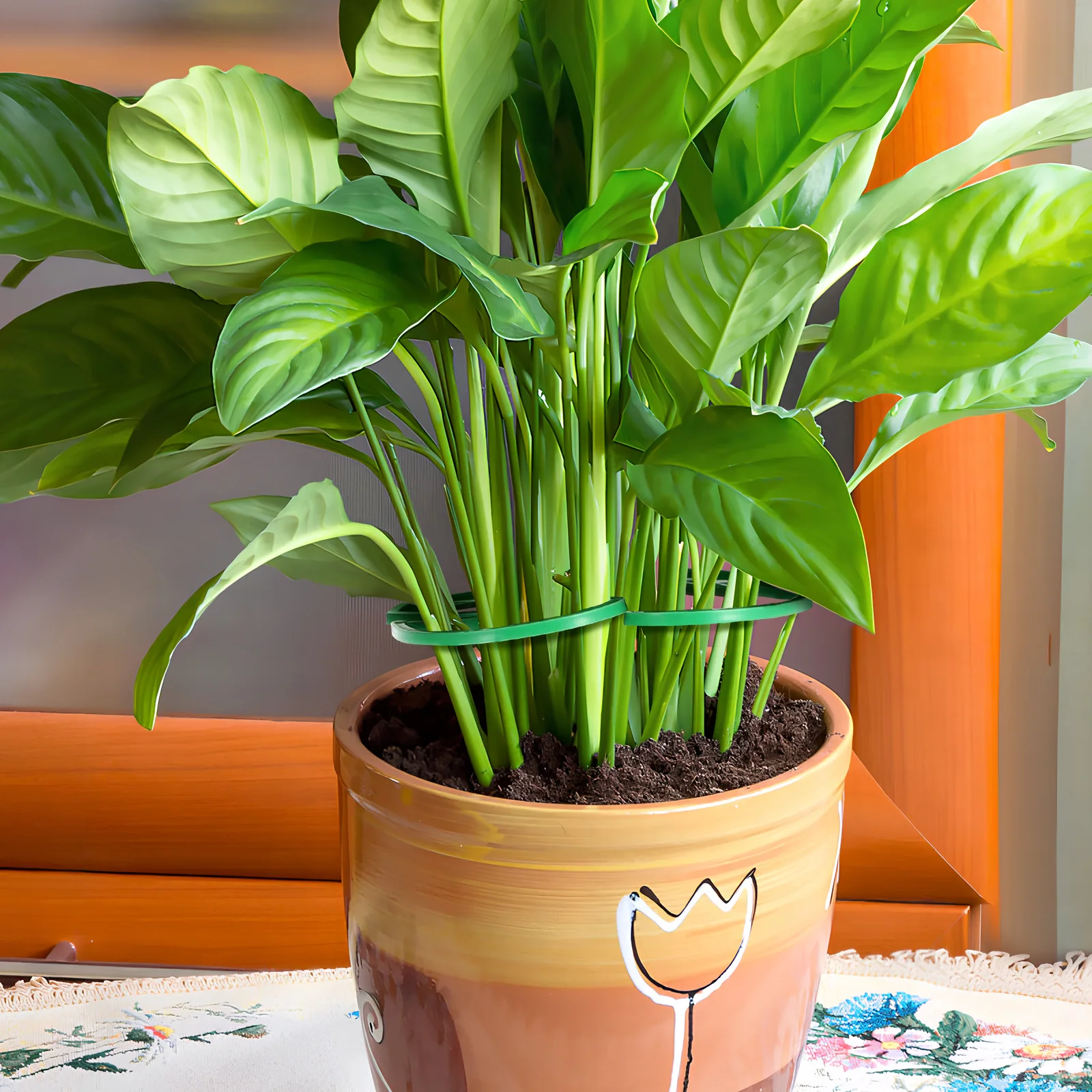 

4pcs Plant Stem Holder Monstera Shaped Sturdy Plastic Indoor Outdoor Support Trellis Easy Install Big Leaf Flower Stabilizer