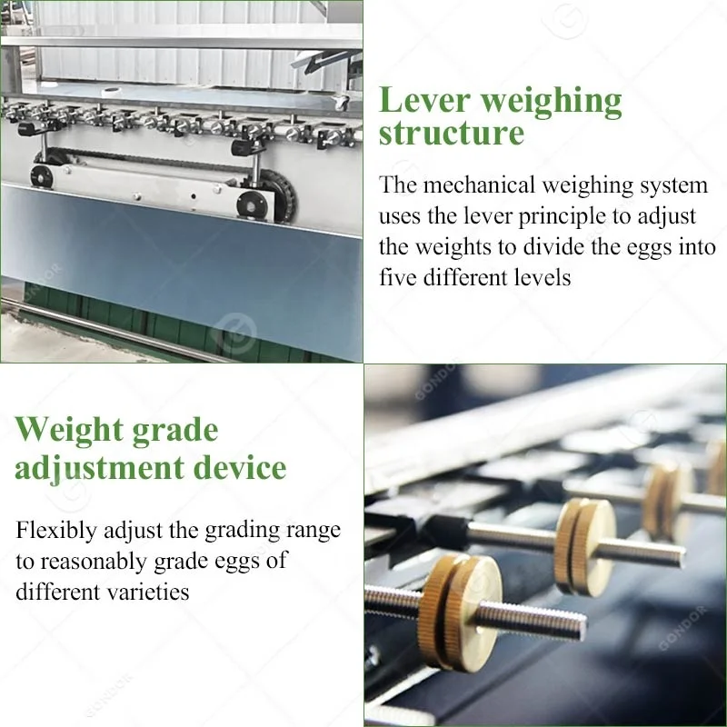 طباعة الفرز الميكانيكية سعة صغيرة Grader Egg Grader الفلبين للبيع