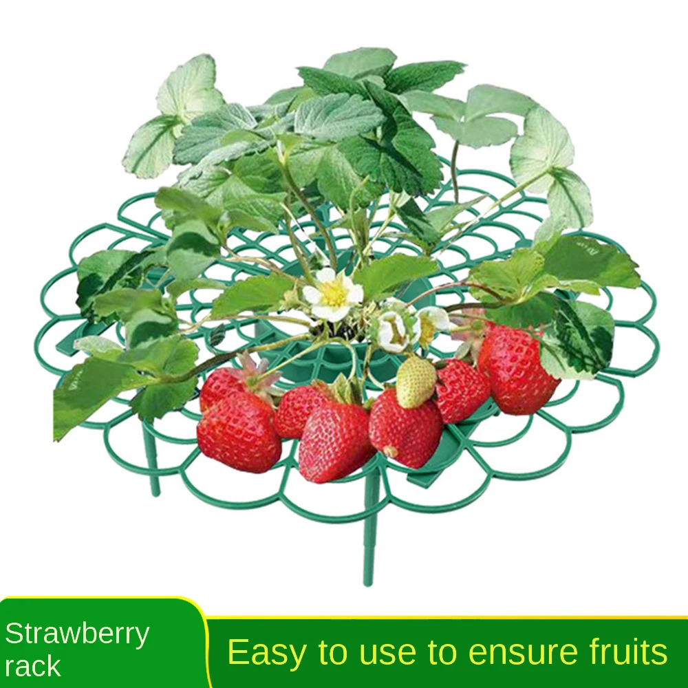 Support Frame Prevent Fruit Decay Not Easy To Break Easy To Store Easy To Disassemble Plant Supports Detachable Bracket