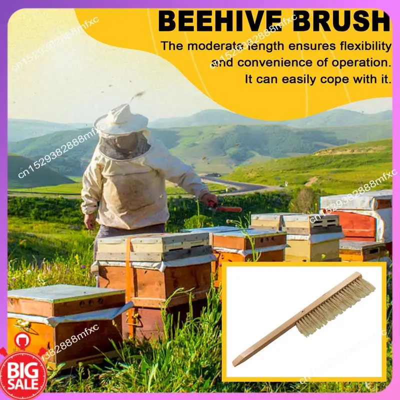 

Big Deal Beekeeping Tools Brush Bee Brush Wooden Handle Brush Beekeeping Tools Beekeeping Equipment Hive Brush