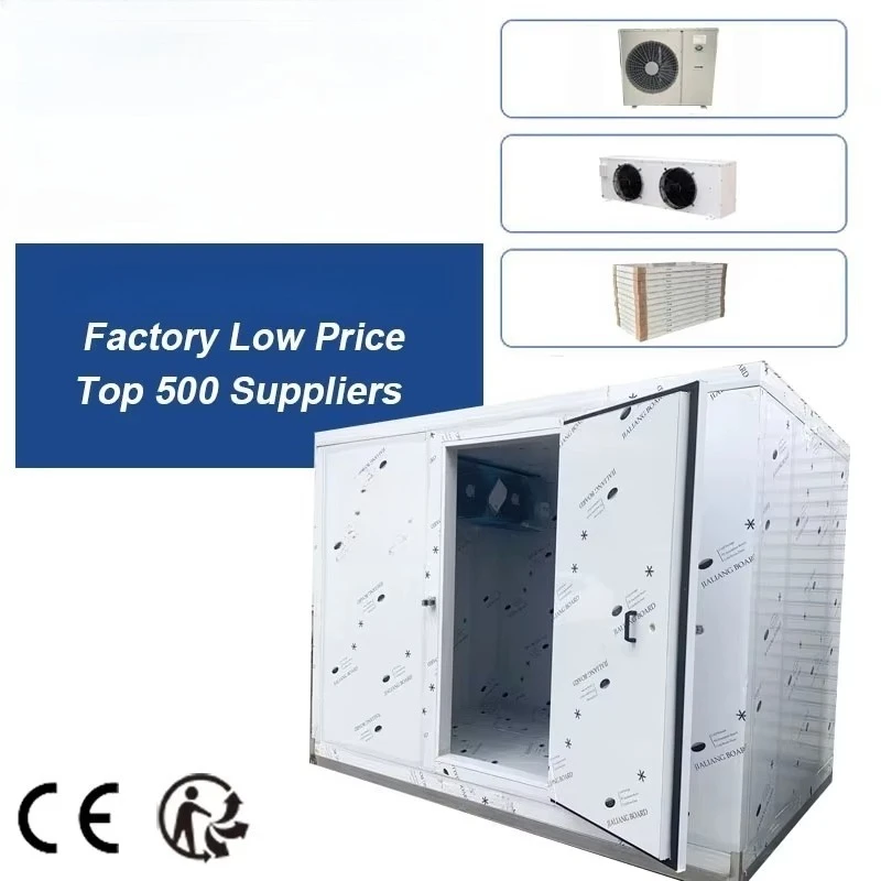 Custom Industrial Positive Negative Temperature Cold Storage Room Cooling Equipment For Flower Fresh-Keeping