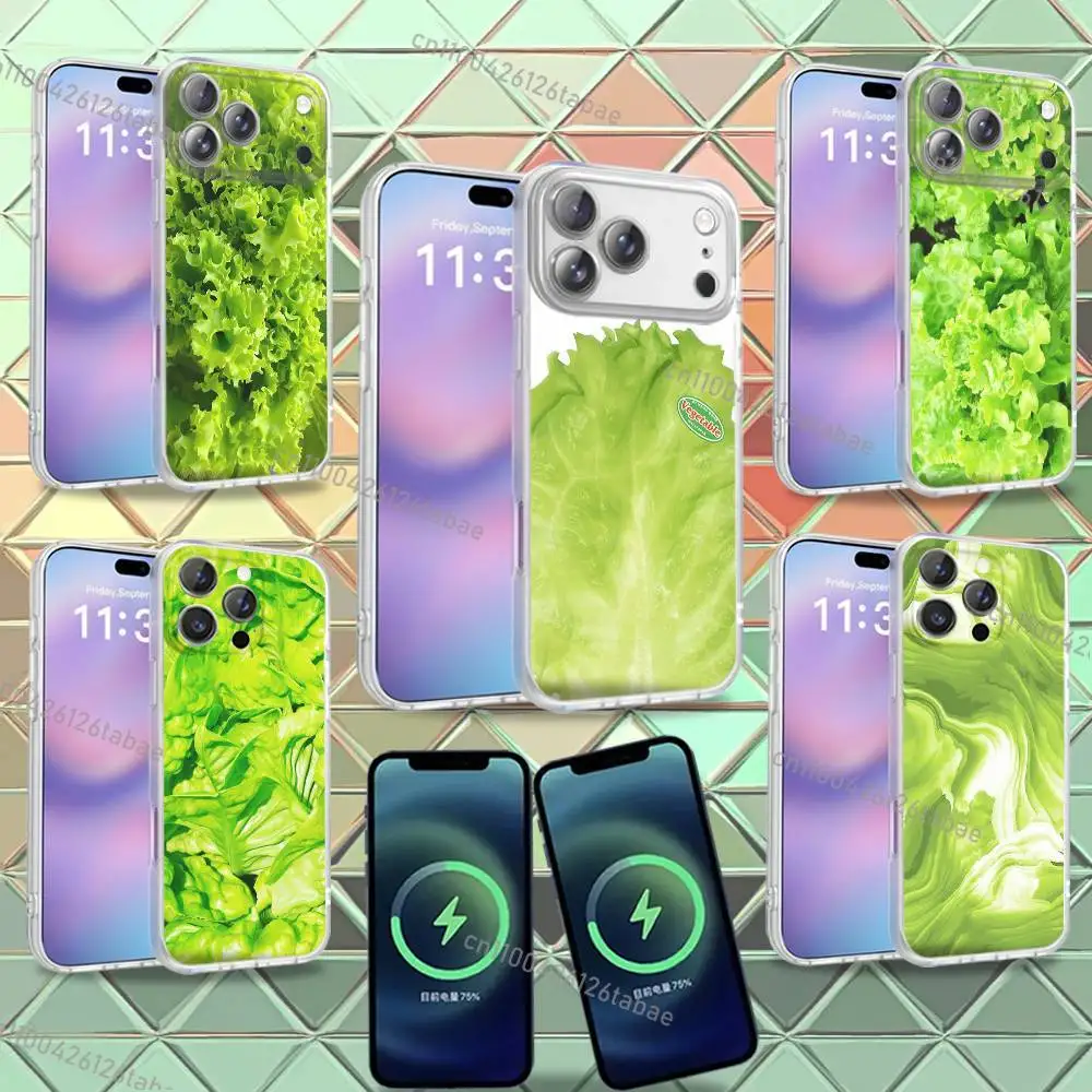 

INS Cabbage Lettuce Printed Phone Case For iPhone 16,14,11,17,13,15,12,Air,Plus,Pro,Max,E,Mini Frosted for Magnetic Wireless TPU