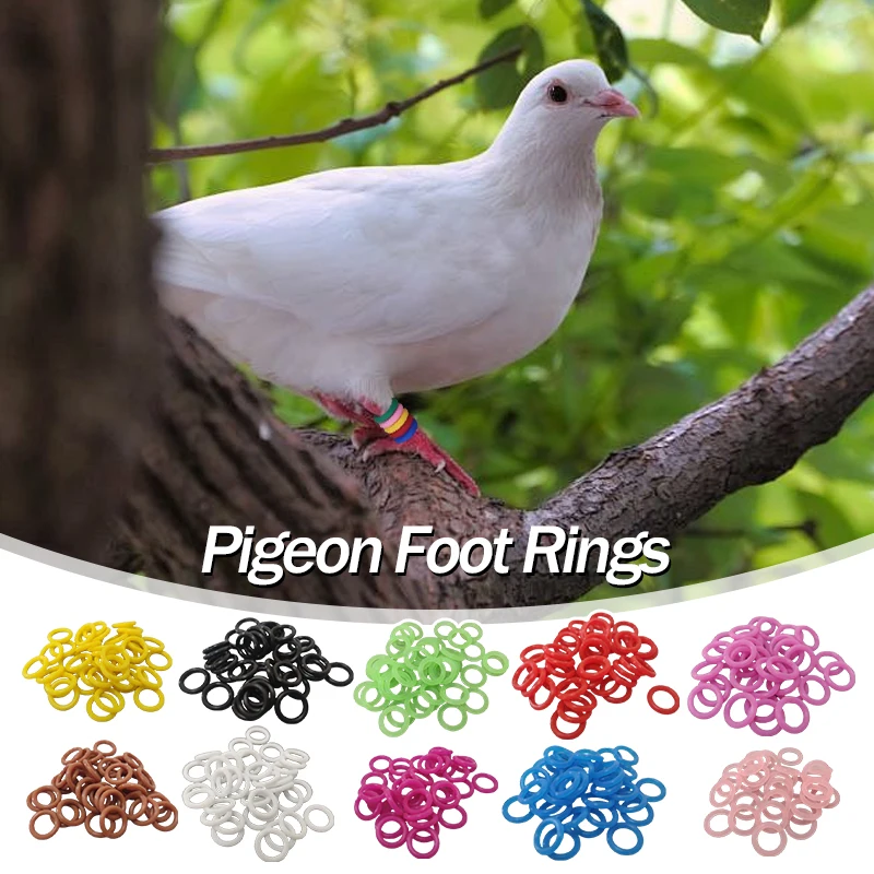 100 Pcs Pigeon Foot Ring Elastic Rubber 8mm Pigeon Identification Rings For Carrier Pigeon Racing Pigeons Birds Accessories