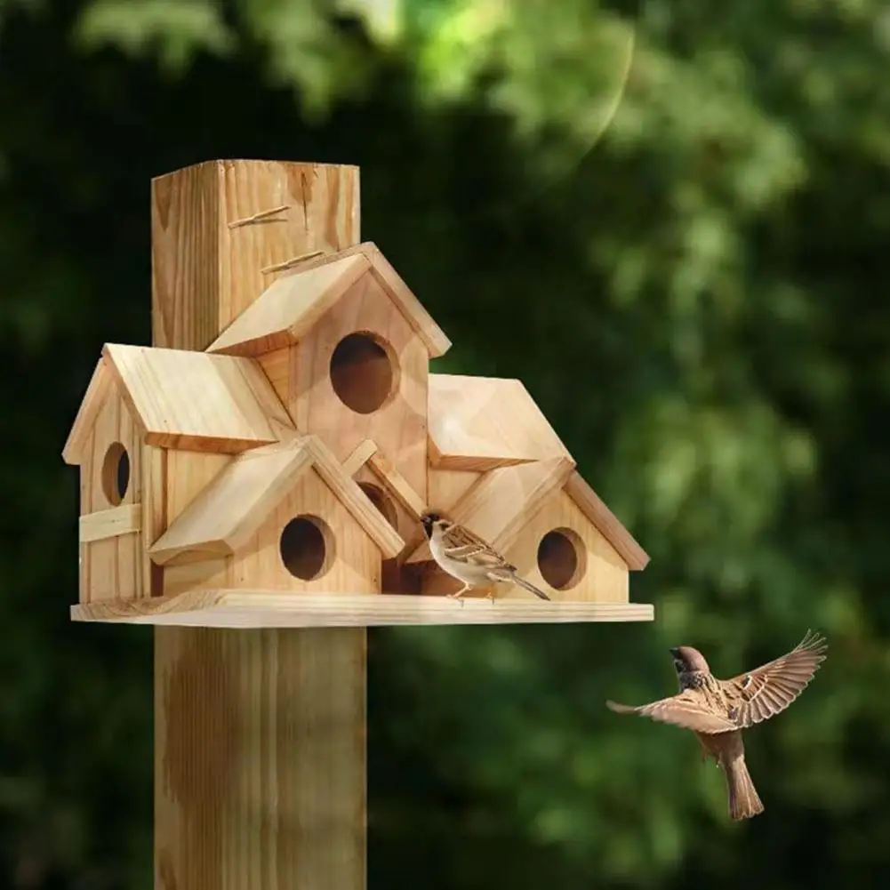 Thumbnail 3 - #80 Compare Birdhouses Before You Buy