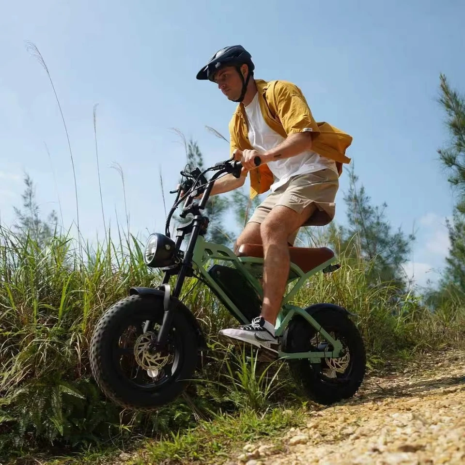 Ebike Full Suspension Children's E Offroad Dirt Fat Tire Cross Bike Kids Electric Mini Portable Bicycle image 5