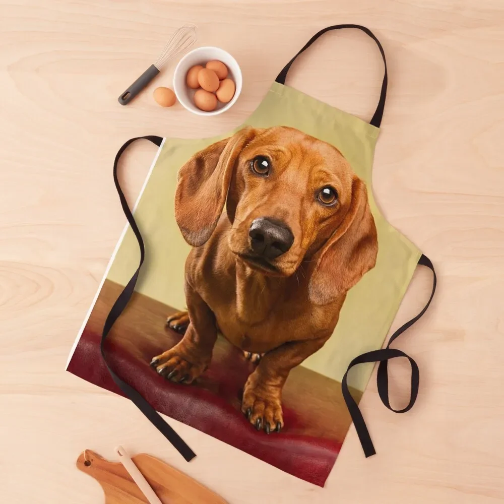 

Dachshund Dog cute Portrait Art Apron Costume Waiter Useful Things For Kitchen Hairdressing women's kitchens Apron