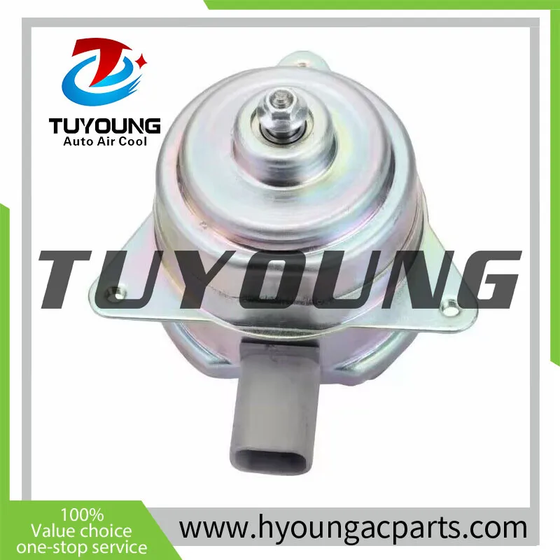 new superior HIGH quality TUYOUNG automotive cooling fan motors