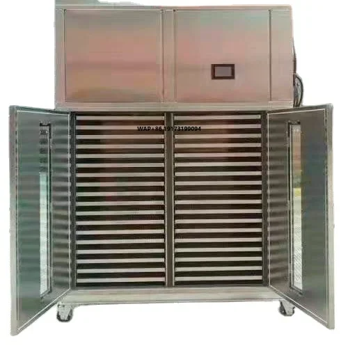 

Electric Just Switch on Food Dryer for Fruit / Vegetables / Meat / Fish / Beef Drying