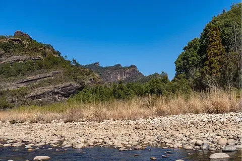 

Приемник Foxeer Wildfire 5.8ГГц 72CH с поддержкой OSD и обновления прошивки для FPV-очков Fatshark