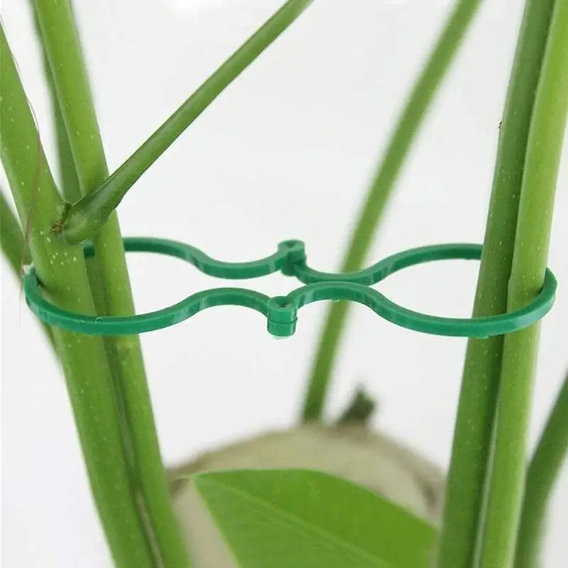 100pcs Garden Plant Twist Clip Ties For Vine Vegetable New Tomato Growing Plants Connects Protection Grafting Fixing Tools