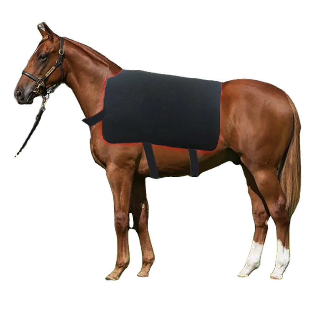 2025 горячая распродажа Shanglaite Horse Animal Back Pulse 660 нм 850 Pet Red LightTherapy Pad PDT машина для облегчения боли Фото №2
