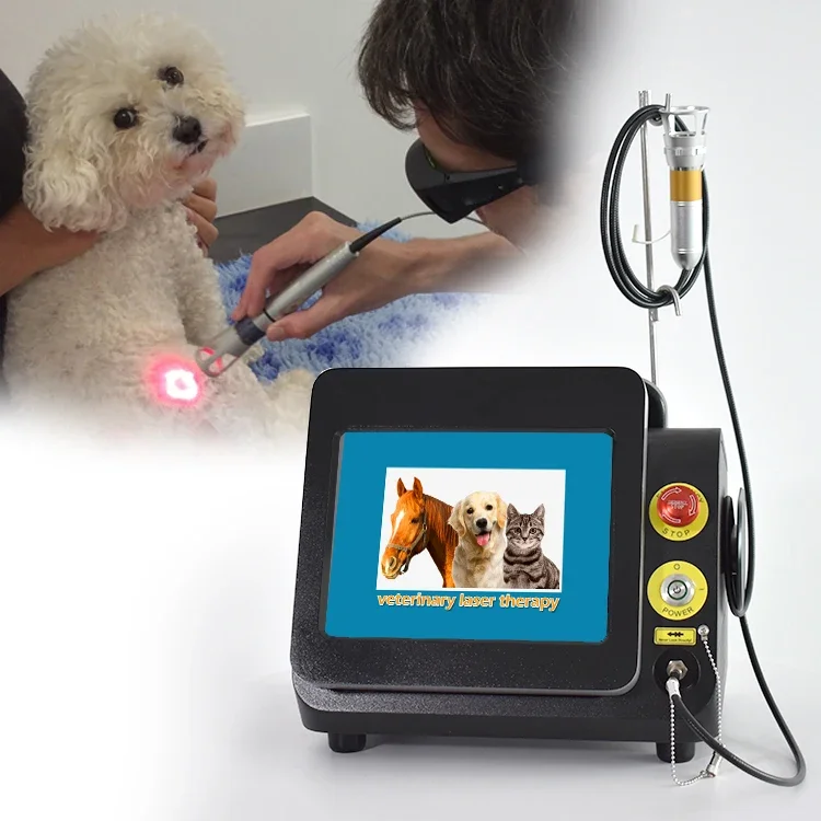 Best Veterinary Clinics Home Users Pet Therapists Equine Canine Feline Exotic Animal Cold Therapy Therapeutic Veterinary Laser