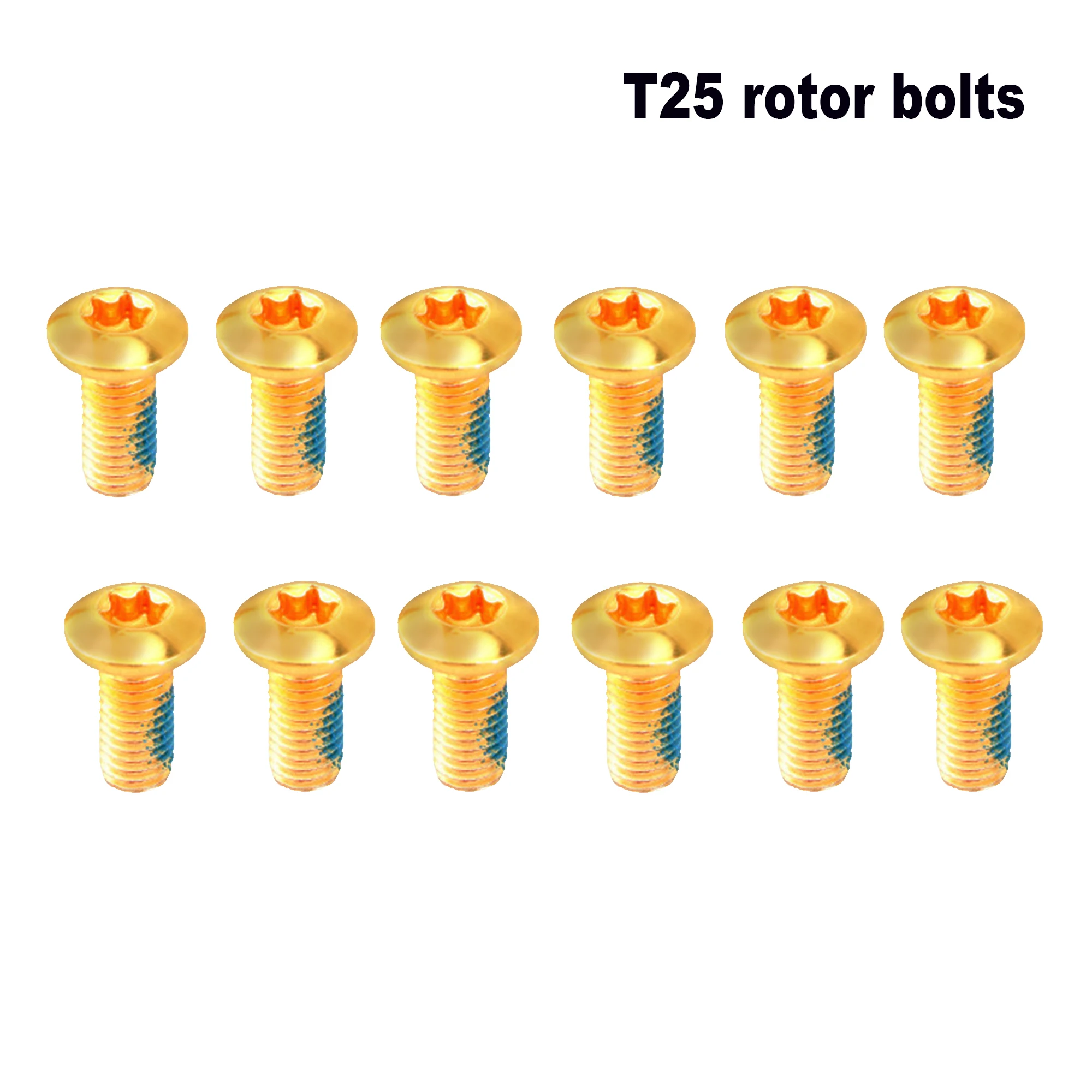 12 teile/satz Fahrrad Bremsscheibe Schrauben, Edelstahl MTB Fahrrad T25 Torx M5x10mm Schrauben für Mountainbike Scheibenbremsen – Detail 9