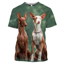 Hound Dogs Hunting 3D T Shirt Men's Women's Teenage 6Xl Dog Quick-drying large size sweatshirt Summer Short Sleeve Harajuku Top