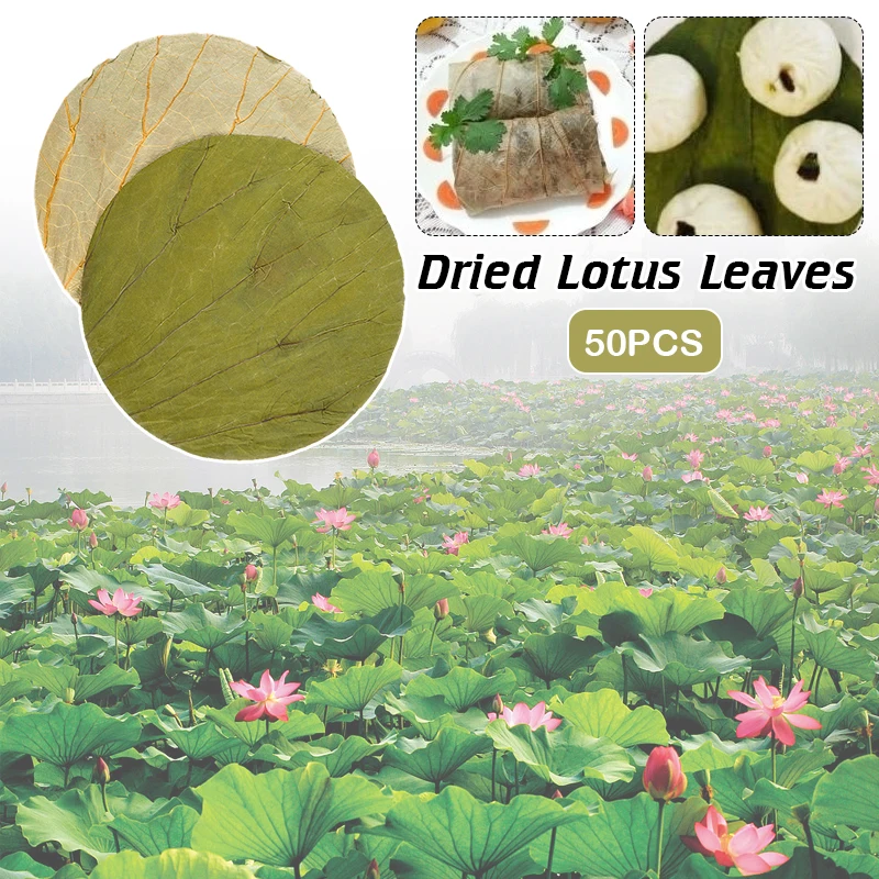 50 Pcs Natural Dried Lotus Leaves Disc For Outdoor Kitchen Food Tray Glutinous Rice Chicken Making Kitchen Accessories