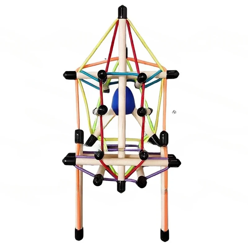 Spine And Pelvis Overall Model Structure Fascia Tensioning Body Teaching Aid Demonstration Dynamic Axis Anatomy Train