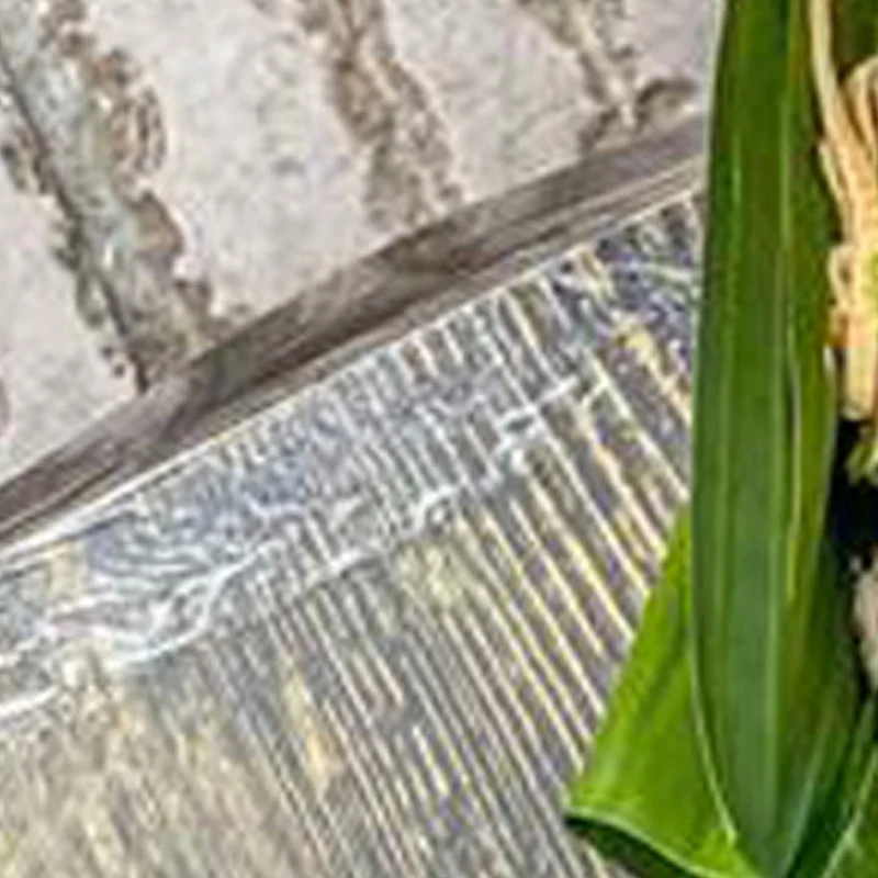 Intelligent Quantit…