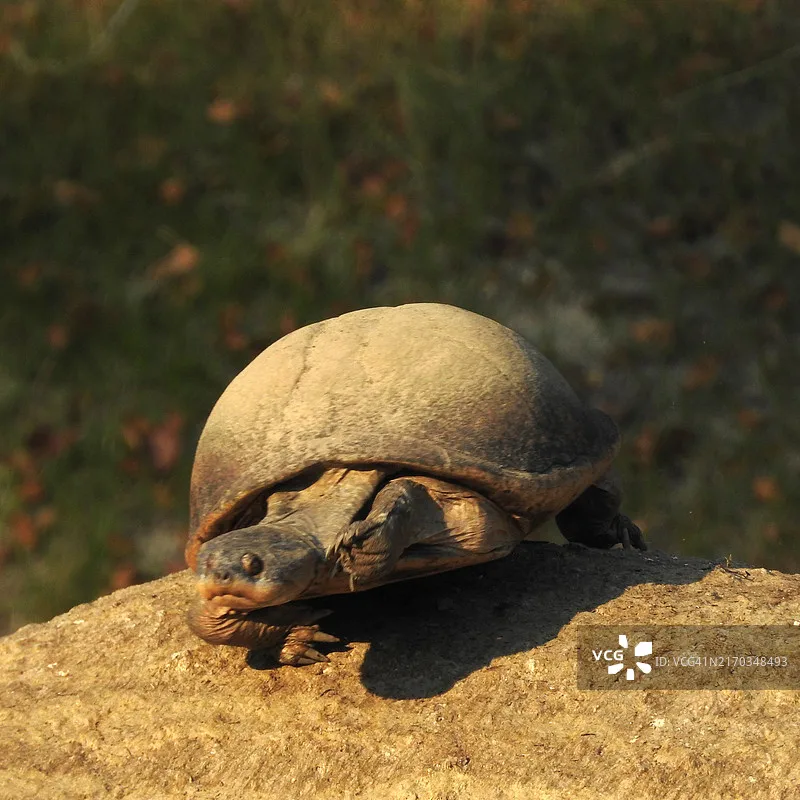 

HOTA T8 Ultra Gallium Nitride AC/DC8S Smart Charger