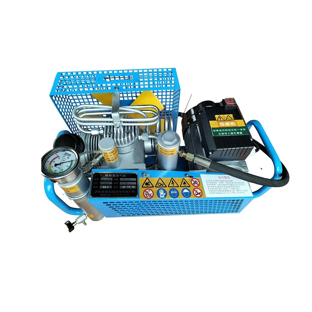 

Portable 110v Electric Start Air Compressor 300bar Industrial Breathing Shutoff Automatically Driven Compressor
