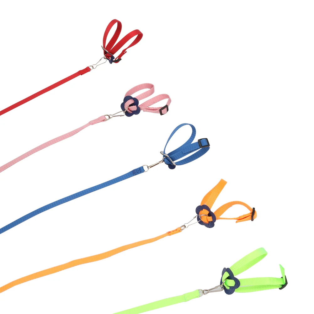 Parrot Harness Traction Rope Reptile Outdoor Safety Belt 5 Color Belt Gerbil Lizard Anti-bite Multi-color Light Traction Rope