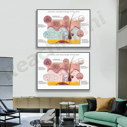 Huid Anatomie, Skin graphic, Anatomy poster, Skin intruction card, Medische student gift, Dermatoloog, Huidtherapeut