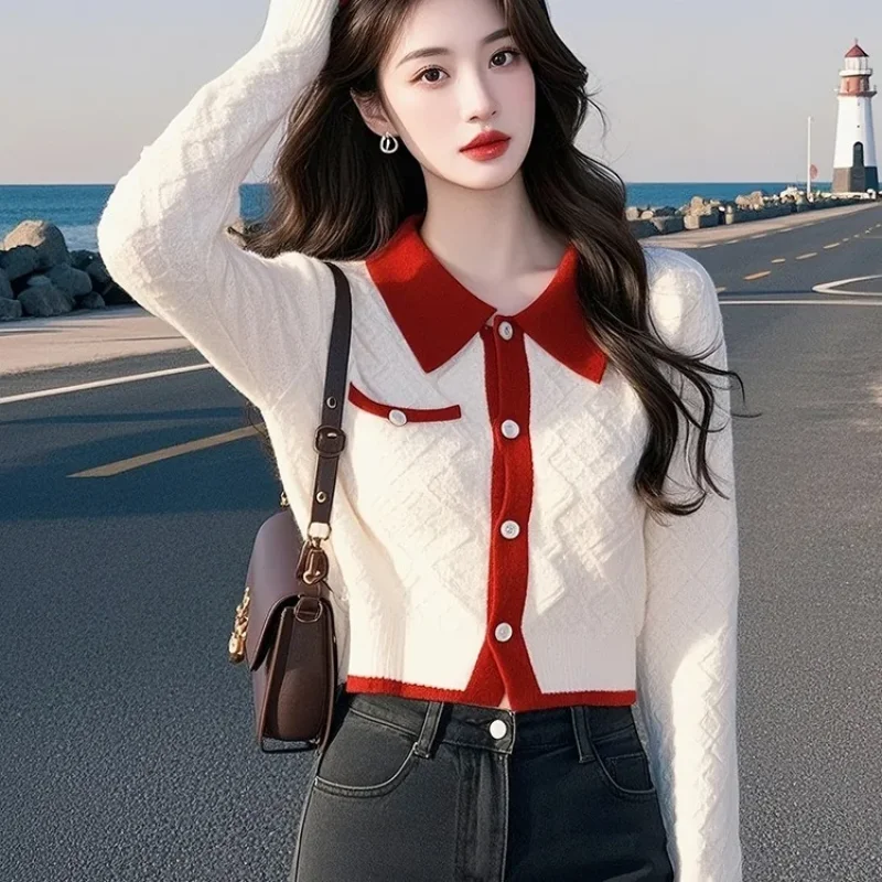 Modny sweter z dzianiny z kontrastowymi kolorami, nowość na wiosnę 2025, elegancki top z długim rękawem.