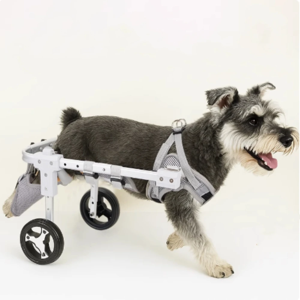 

Dog Wheelchair Hind Limb Paralysis Rehabilitation Small Dog Walker Disability Car Cat Assistance Teddy Pet Dog Hind Leg Braces