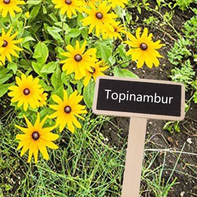 C90C 20Pcs Plant Labels Mini Chalkboard Signs Set, T-Type Garden Markers Labels