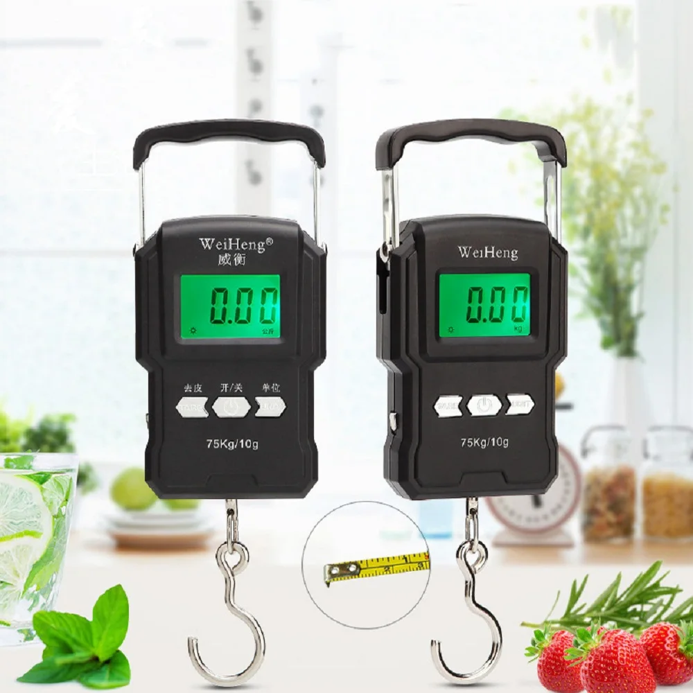 50Kg/5g LCD Digital Display Backlight Portable Hanging Hook Scale Double Accuracy Fishing Travel Mini Electronic Weighing Scale