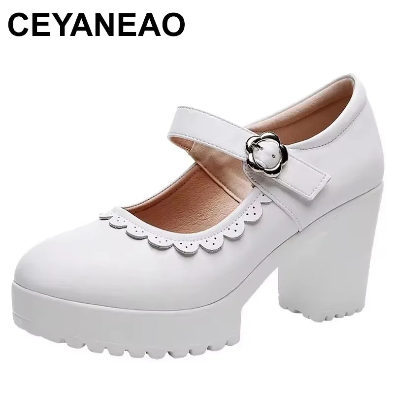 

2025 Shallow British Thick Bottom Platform Shoes Fall Women's Block High Heels Pumps Office Model