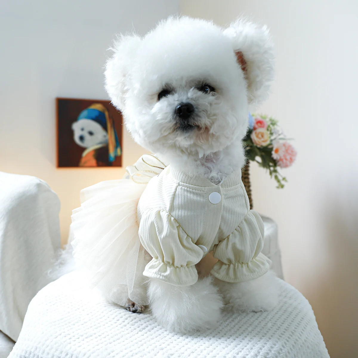 1PC Pet Clothing Spring and Autumn Wedding Bear Wedding Dress Princess Dress Suitable for Small and Medium sized Dogs