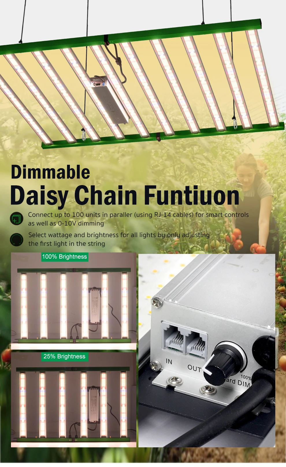 Vollspektrum-LED-Pflanzenlampe SMD3030 400W 650W 800W 1200W 3000K 5000K Rot IR UV Licht 1650Umol/ ㎡ Pflanzenlampe mit hohem PPFD für Pflanzen – Detail 3