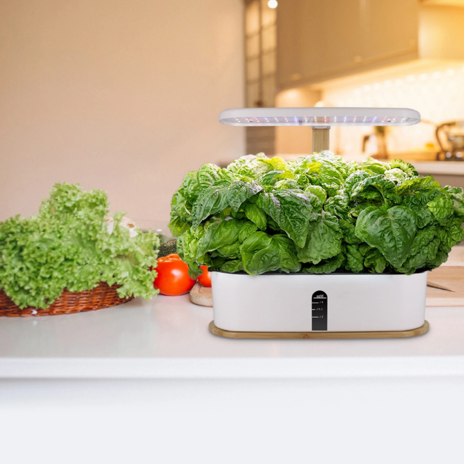Hydroponic Planter with LED Grow Illumination areaSaving Indoor Hydroponic Garden Indoor Garden with LED Grow Light Fresh Slim view 5