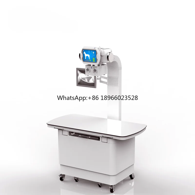 Vet analog x-ray machine 20kw floor-mounted x-ray machine for veterinary