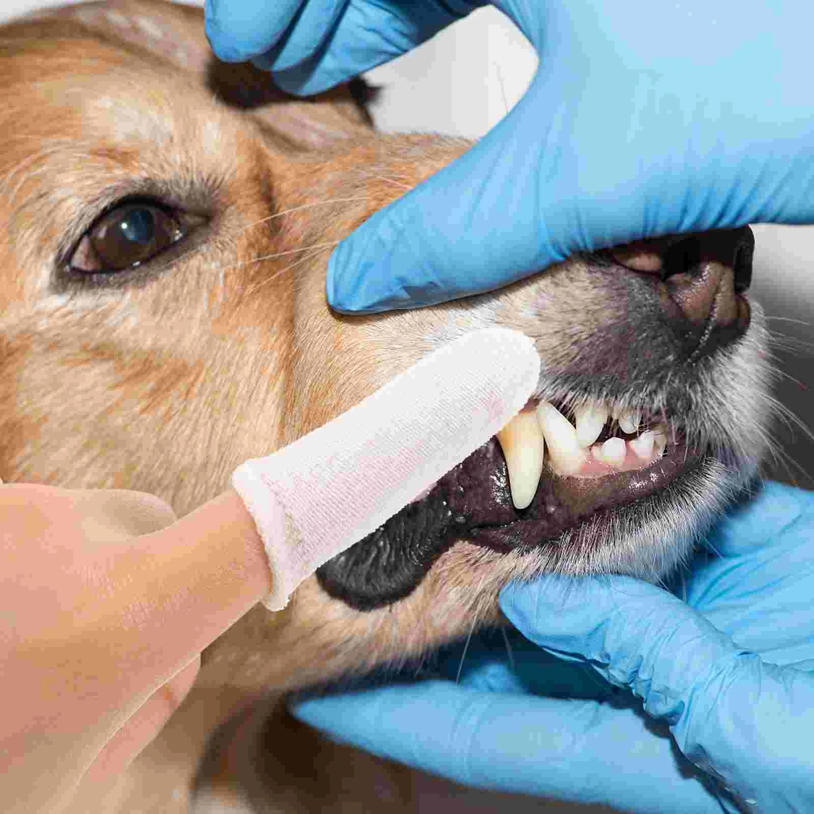 10 Pcs Pet Cleaning Finger Cots Nylon Dog Cat Toothbrush al Hygiene Dental Care Plaque Remover Safe Gentle Puppy Teeth Cleaning