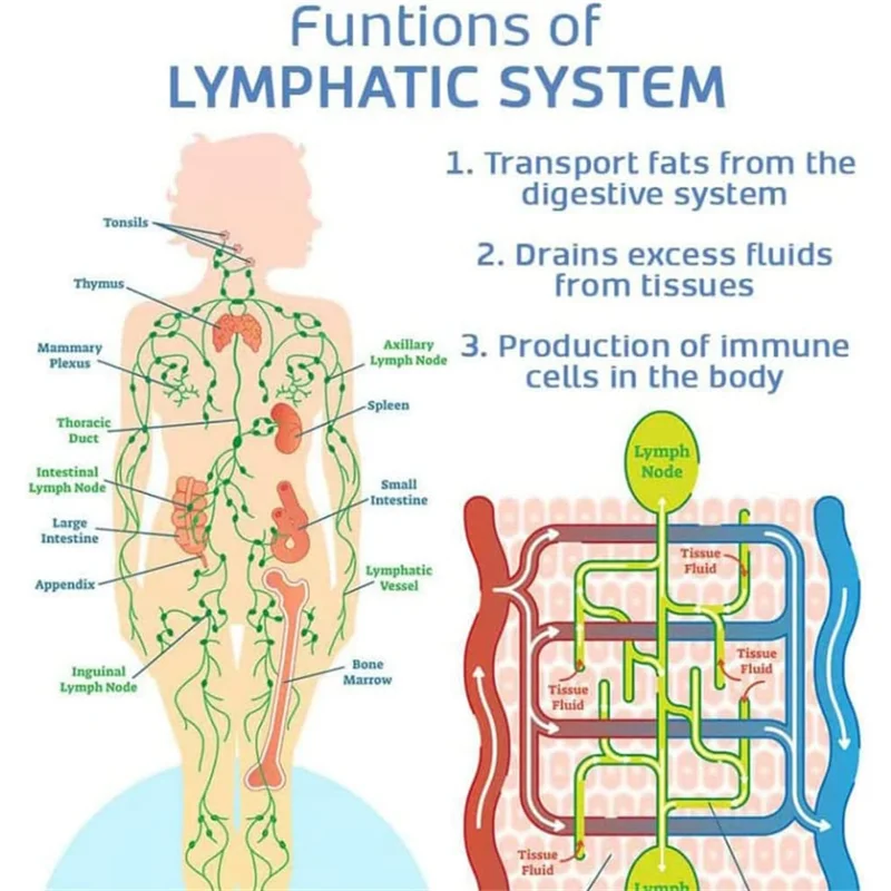 Instrumento ortopédico de alívio linfático ultrassônico para pescoço para homens e mulheres