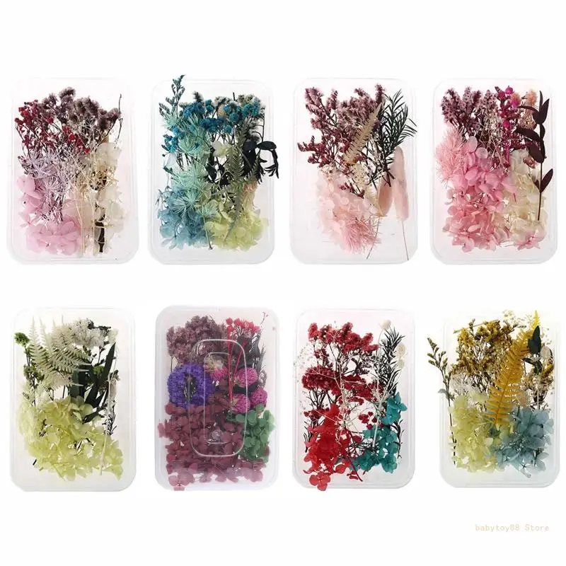 Y4UD 1 Box Real Mix Dried Flowers for Resin Jewellery Dry Plants Pressed Flower